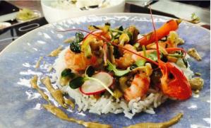 GastroArt O istorie a esteticii culinare în România. Prima parte