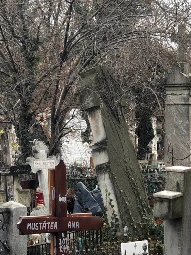 oana pellea dupa o vizita la cimitirul bellu din bucuresti niciodata nu am vazut asemenea dezastru ce
