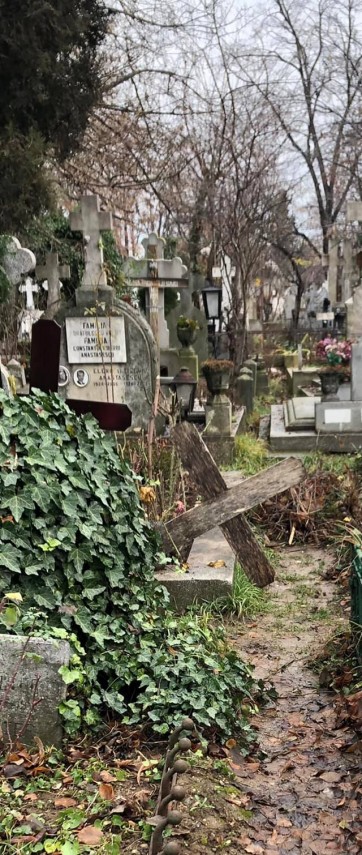 oana pellea dupa o vizita la cimitirul bellu din bucuresti niciodata nu am vazut asemenea dezastru ce