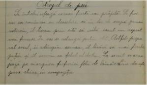 GastroArt.ro Ostropel de pui (rețetă din 1931) 
