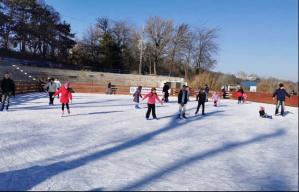 Licitații Constanța Macht 1 Kart Palas SRL, controlată de familia Vasea, a amenajat patinoarul din Cernavodă (DOCUMENT)