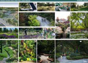 Un parc nou va fi înființat la Constanța. Lucrările se vor desfășura pe o suprafață de 4 hectare