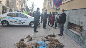 Scandal în zona Catedralei Arhiepiscopale din Constanța. Două persoane, sancționate de polițiștii locali (GALERIE FOTO+VIDEO)  