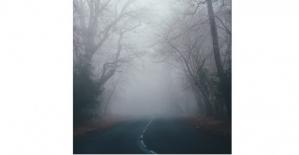 Cod galben de ceaţă densă în zone din judeţul Tulcea. Până la ce oră este valabil