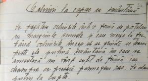 GastroArt Carne de vițel cu sos tartar (rețetă interbelică) 