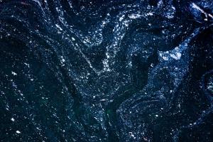 Poezia zilei Evoluție - Valentina Popescu