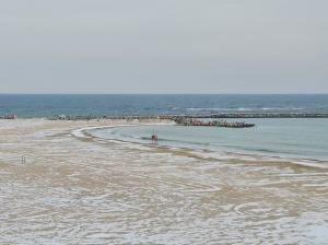 Constanța Imagini impresionante după ninsoare la malul mării. Lacul Tăbăcăriei a înghețat (GALERIE FOTO+VIDEO)  