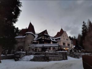 Alertă în Sinaia! Oamenii au primit mesaj să evite o zonă din cauza urșilor   