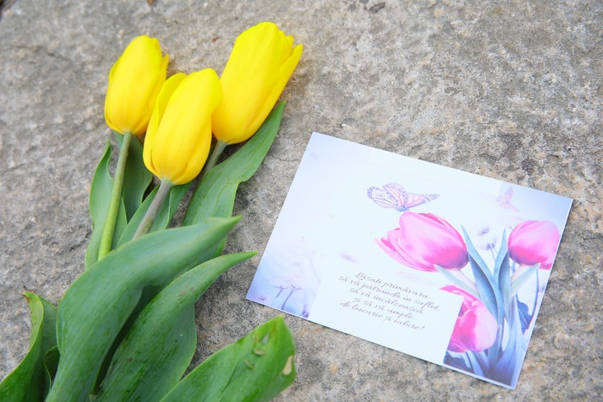 Flori de 8 martie, foto: Primăria Municipiului Constanța