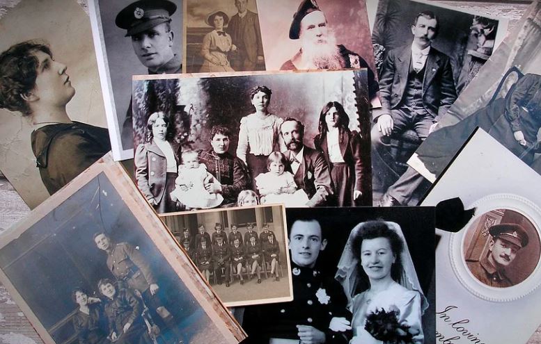 Genealogie Sursa foto Pixabay