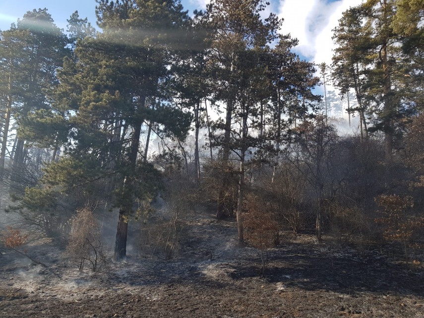 Incendiu Sursa foto ISU Harghita