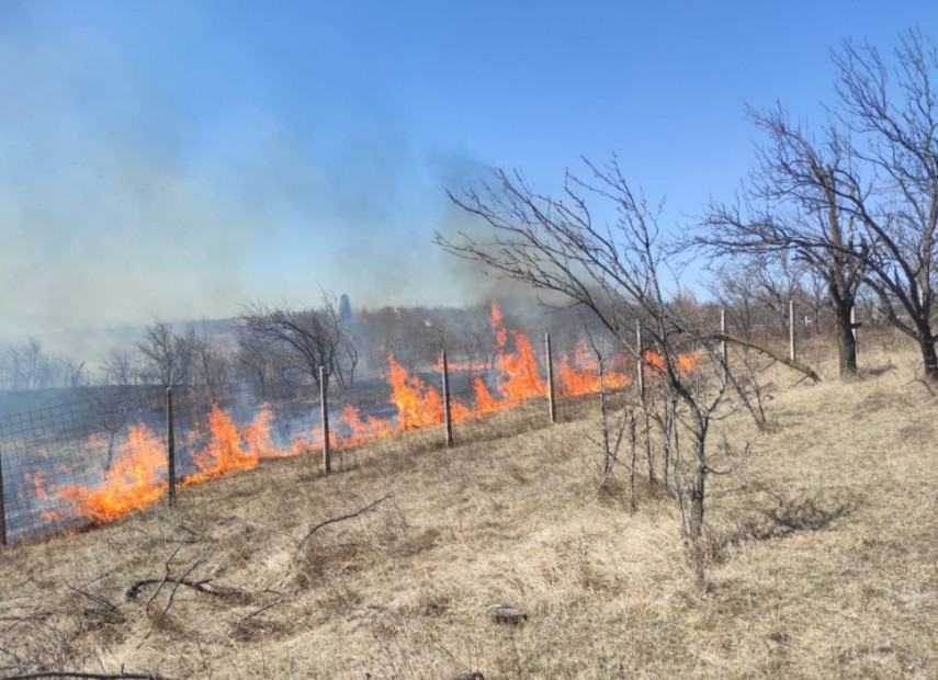 Incendiu de vegetașie uscată în județul Prahova. Foto: ISU Prahova