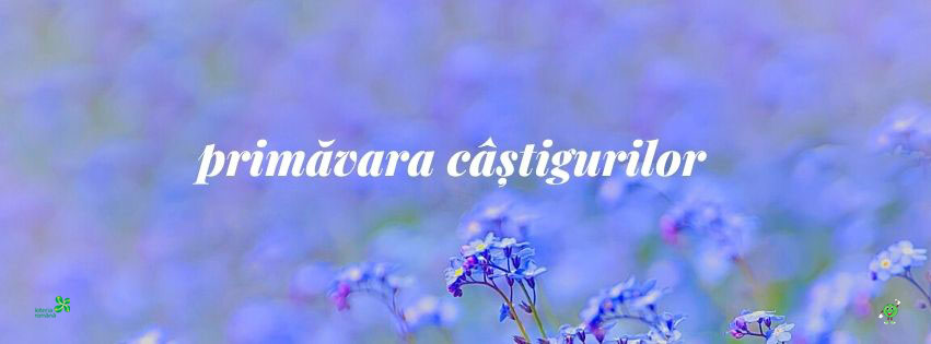 Loto, Sursa foto: Facebook/ Loteria Română