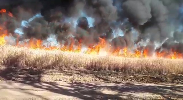 Incendiu de vegetatie uscata. Foto cu rol ilustrativ: ISU Bihor