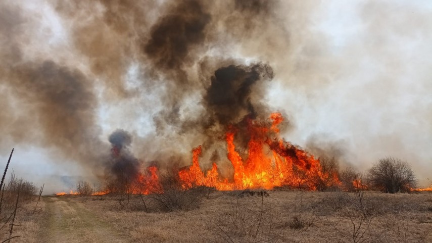 incendiu de vegetație uscată în județul Tulcea. foto: ISU Delta