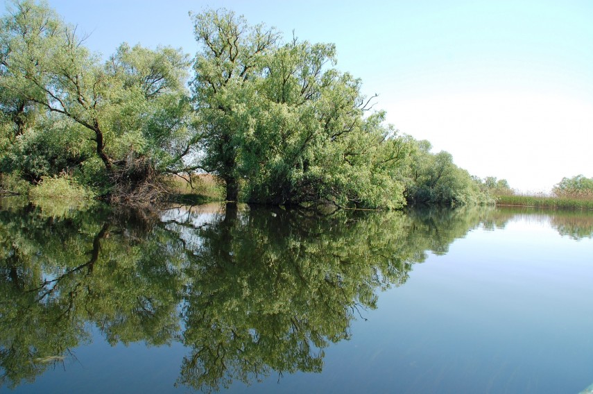 Delta, foto: facebook: ARBDD - Administratia Rezervatiei Biosferei Delta Dunarii