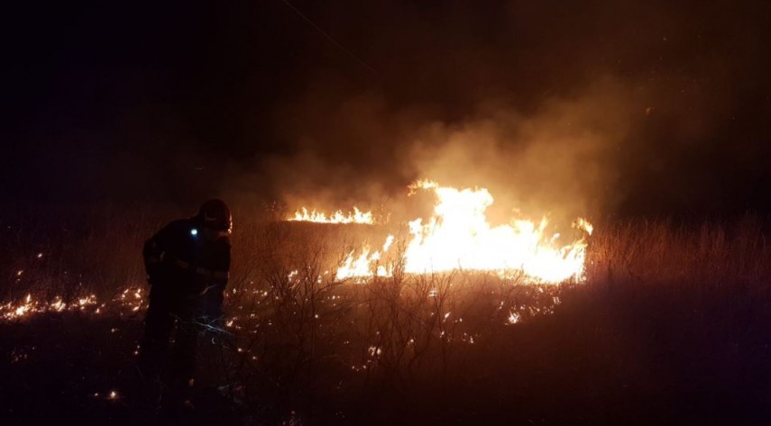 Imagine de la incendiul de vegetație, foto: ISU Delta Tulcea