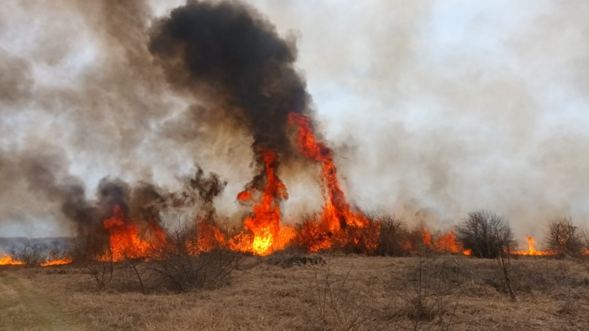 Incendiu de vegetație uscată. Foto cu rol ilustrativ: ISU Delta Tulcea