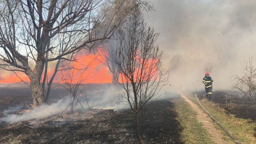 Incendiu în Delta Văcărești. Foto: ISU București Ilfov