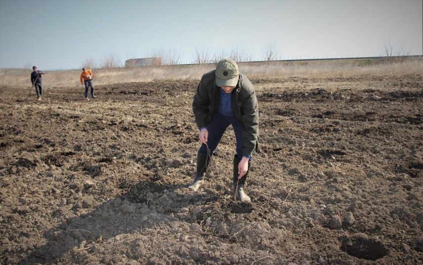 Plantare puieți, foto: Romsilva