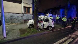 UPDATE - Ce spune Poliția LIVE - Constanța. Un bărbat care făcea delivery a murit după ce mașina în care se afla a intrat într-un copac (GALERIE FOTO +VIDEO)             
