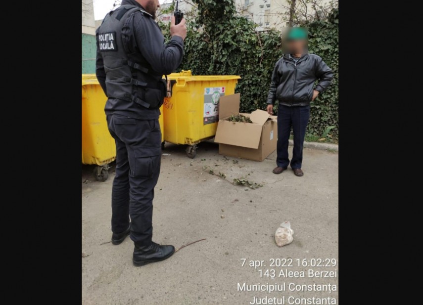 Amenzi aplicate de Poliția Locală Constanța. Foto: Primăria Constanța
