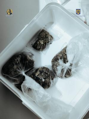 Percheziții în Constanța. Doi bărbați reținuți pentru trafic de droguri (GALERIE FOTO)