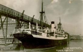 Lumea marinarilor Odraslă de general. Marinarul familiei Scheletti