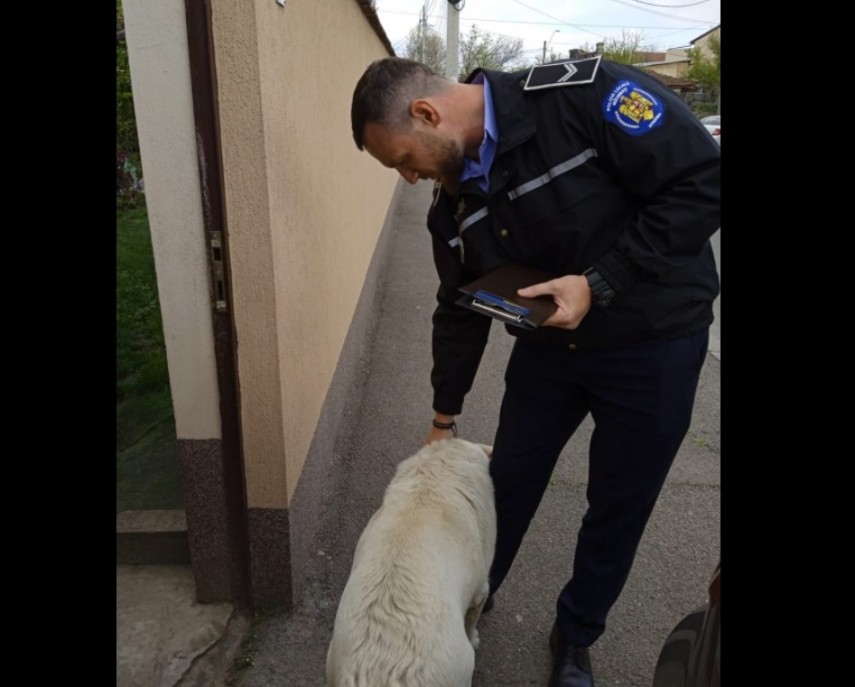 Alţi 20 de proprietari de animale de companie au fost sancţionaţi Foto Facebook/ Poliția Locală