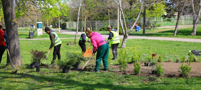 Acțiune de plantare, foto: Primăria Constanța