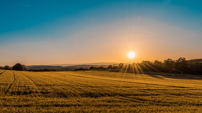 foto unsplash/  Federico Respini