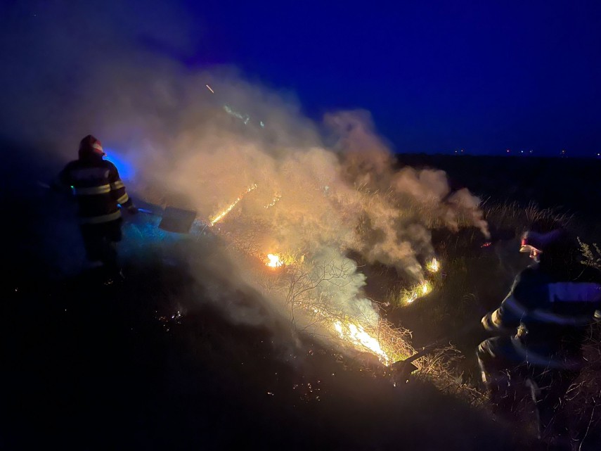 Incendiu lângă Tulcea. Foto: ISU Delta Tulcea