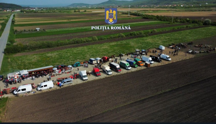 Acțiune a polițiștilor la un târg de cabaline, foto: Poliția Română 