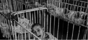 IICCMER Muzeu dedicat victimelor din perioada comunistă în Siret. Atrocitățile petrecute în fostul spital de neuropsihiatrie (GALERIE FOTO)