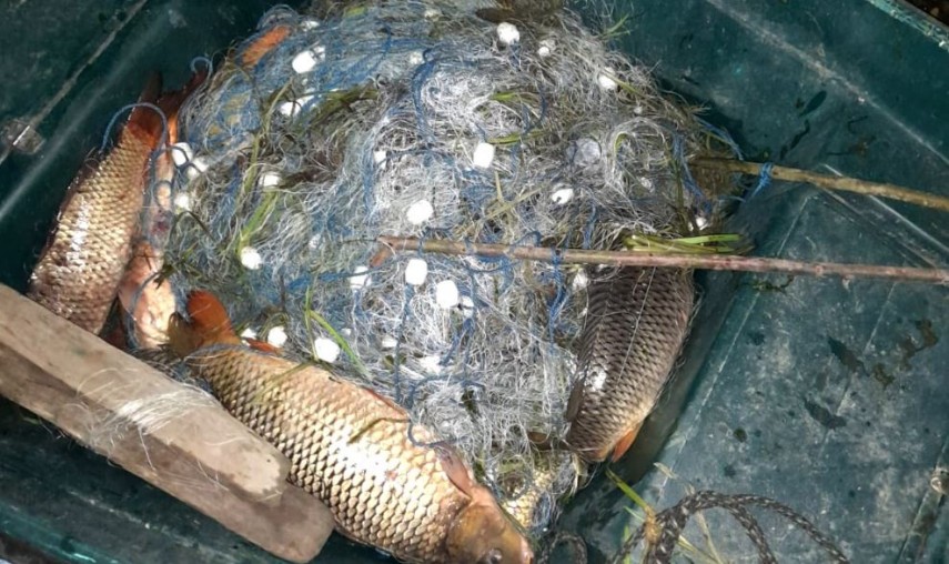 200 de kilograme de pește și 1500 metri de plase din material textil și mono-filament, foto: Garda de Coastă 