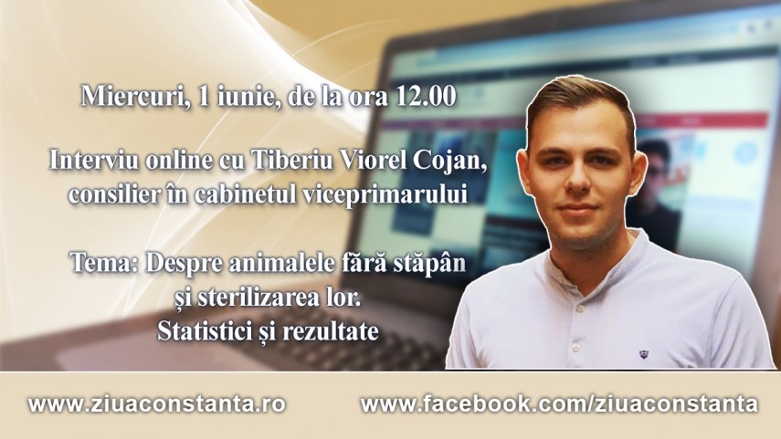 Interviu online cu Tiberiu Viorel Cojan, consilier in cabinetul viceprimarului: Despre animalele fara stapan si sterilizarea lor. Statistici si rezultate  