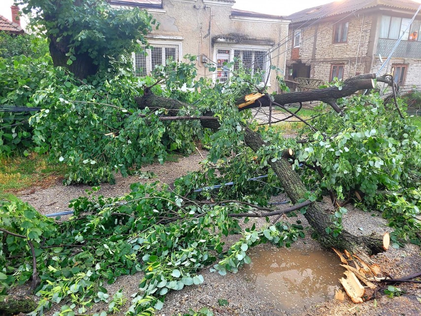 pagube in judetul giurgiu dupa un cod portocaliu de furtuna care a vizat si judetele ilfov si calarasi