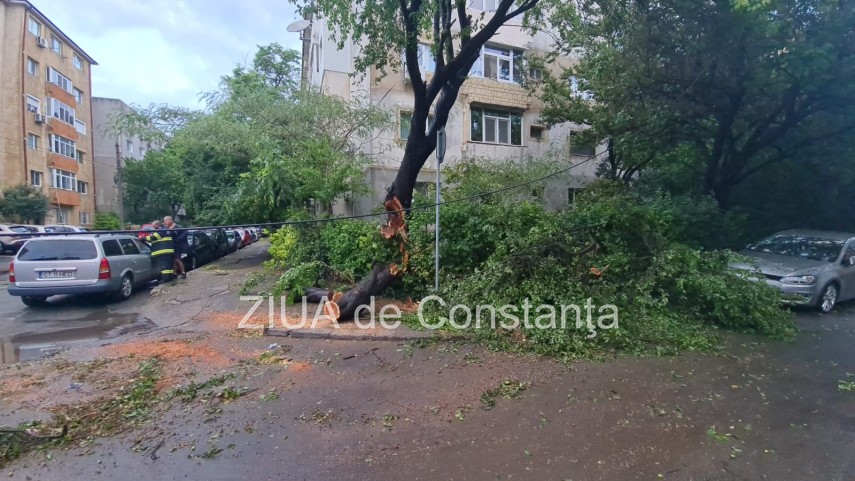judetul constanta sub cinci atentionari si avertizari cod galben si cod portocaliu de vreme rea zeci
