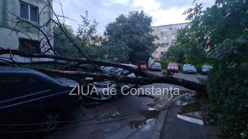 judetul constanta sub cinci atentionari si avertizari cod galben si cod portocaliu de vreme rea zeci