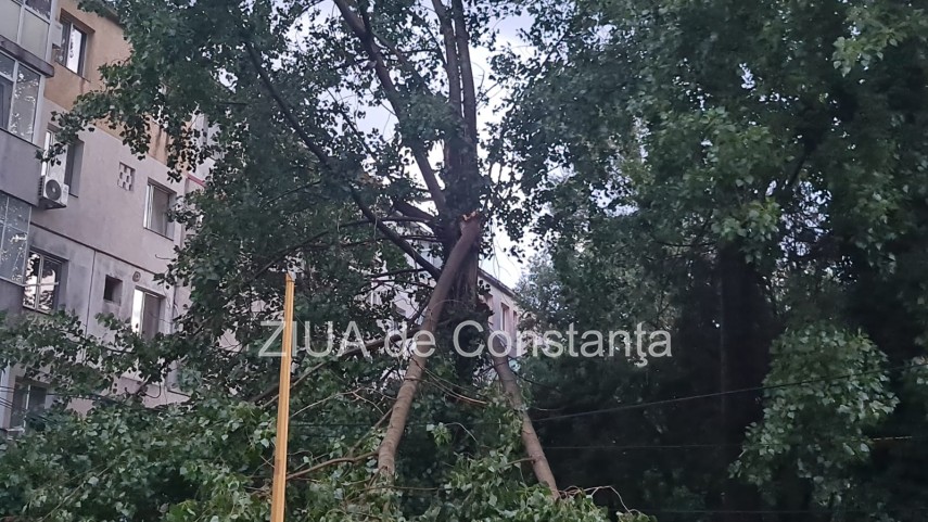 judetul constanta sub cinci atentionari si avertizari cod galben si cod portocaliu de vreme rea zeci