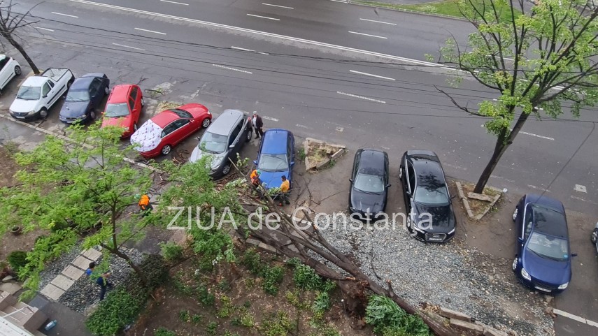 judetul constanta sub cinci atentionari si avertizari cod galben si cod portocaliu de vreme rea zeci