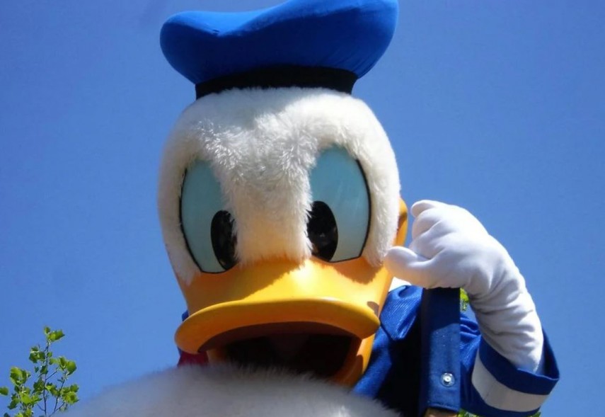 Ziua Donald Duck, foto: Pixabay 