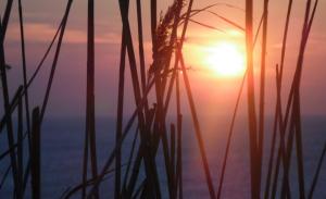 ANM Se anunță caniculă în aproape toată ţara în următoarele zile