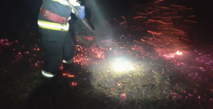 Imagine de la un incendiu de miriște,  foto: ISU Delta Tulcea