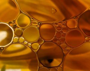 Baza Logistică Navală a cumpărat uleiuri. Detalii din contract (DOCUMENT)