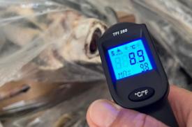 Constanța. Cantități mari de pește depozitat neconform, descoperite de ANPC (GALERIE FOTO) 