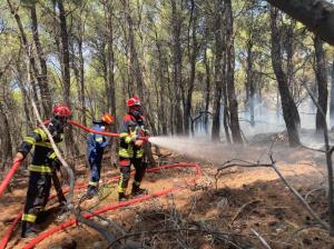 Încă o misiune pentru pompierii români aflați în Grecia, în zona Porto Germeno (GALERIE FOTO)
