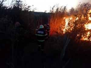 Județul Tulcea. Incendiu de vegetație uscată în zona Zaghen