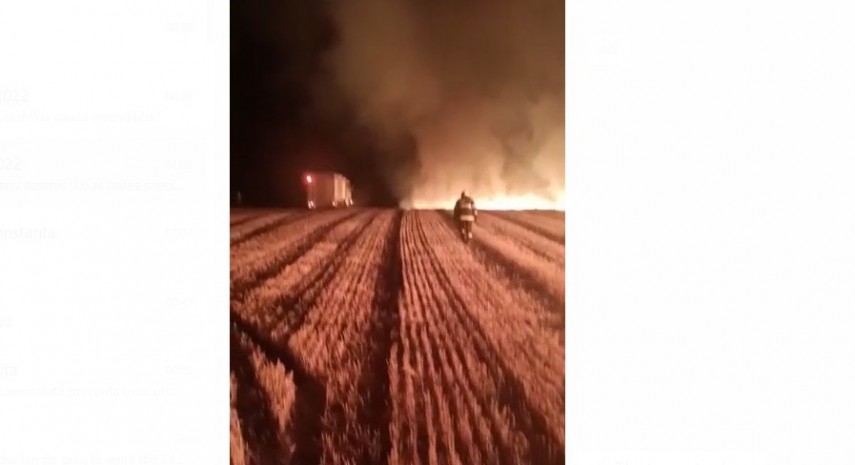 Incendiu lan de grâu, Oltina. Foto: ISU Dobrogea