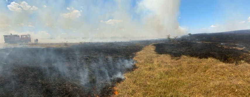 Incendiu. Foto ISU Delta Tulcea